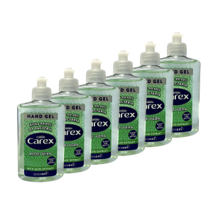 Hand Sanitiser x 6