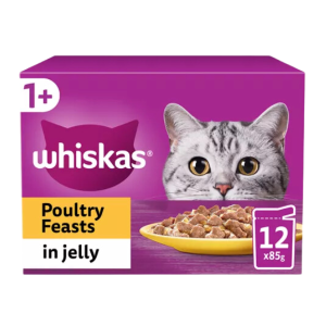 Kitten Food In Jelly