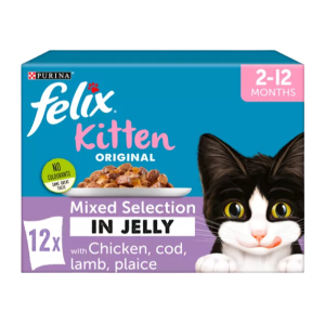 Kitten Food