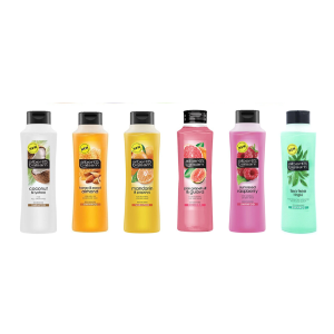 Shampoo x 6