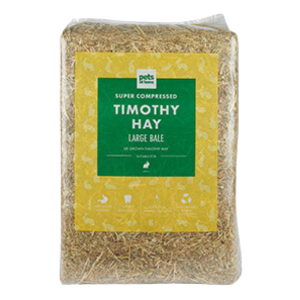 Timothy Hay