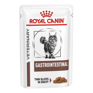 Gastro Intestinal Pouches