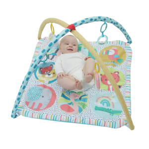 Baby Activity Gym