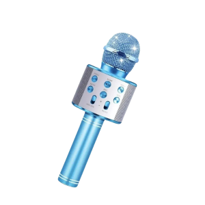 Karaoke Microphone