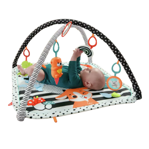 Activity Play Mat