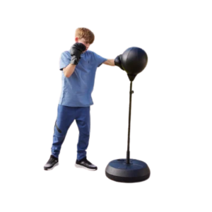Punching Bag & Boxing Gloves