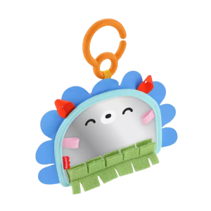 Mirror Toy
