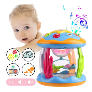 Light Up Musical Toy