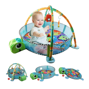 3-in-1 Gym Activity Turtle