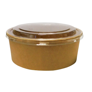 Takeaway container x 50