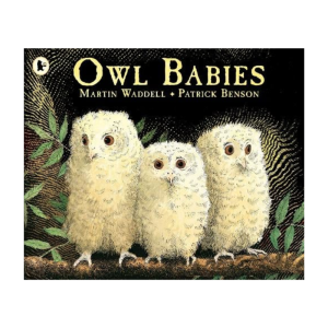 Owl Babies